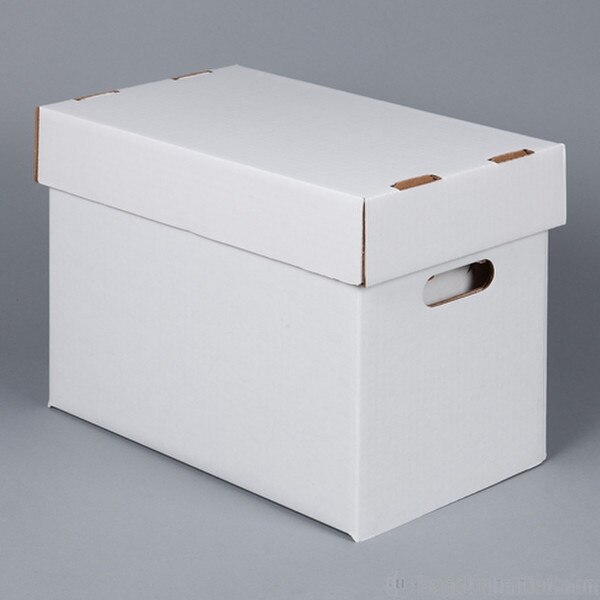 Disney VHS Tape Storage Box - White